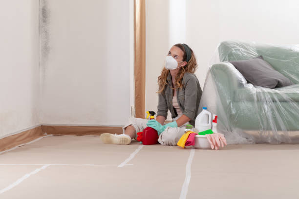 Reliable Mold Remediation contractor in Avenel, NJ by Mold Remediation HQ